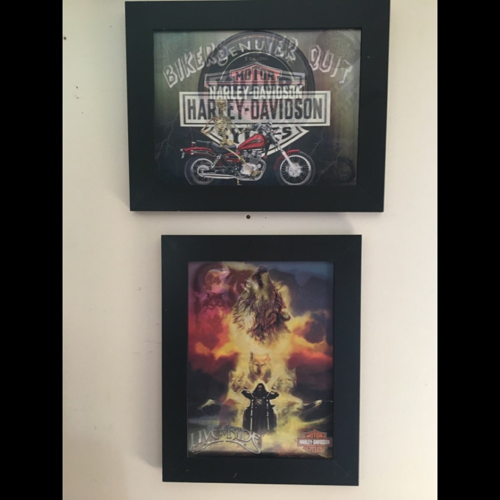 2 Harley-Davidson pictures